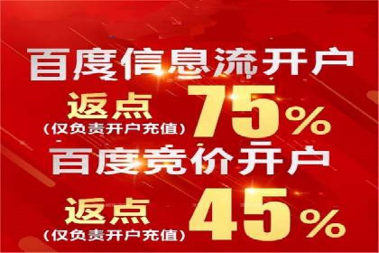 百度竞价广告投放策略：案例分析及优化建议